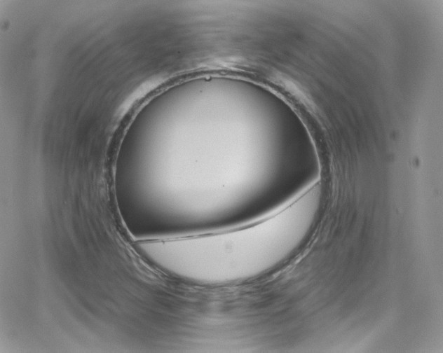 X0000067001308200603241035