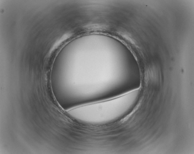 X0000067001309200603241035