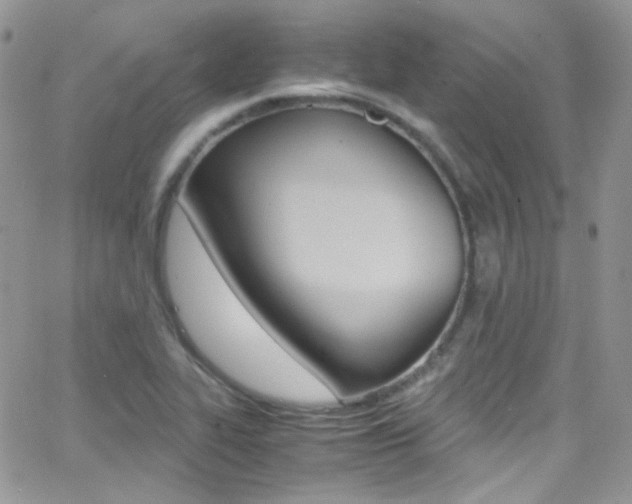 X0000067001319200603241035