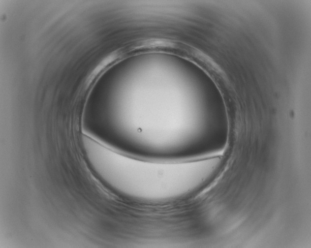 X0000067001321200603241035