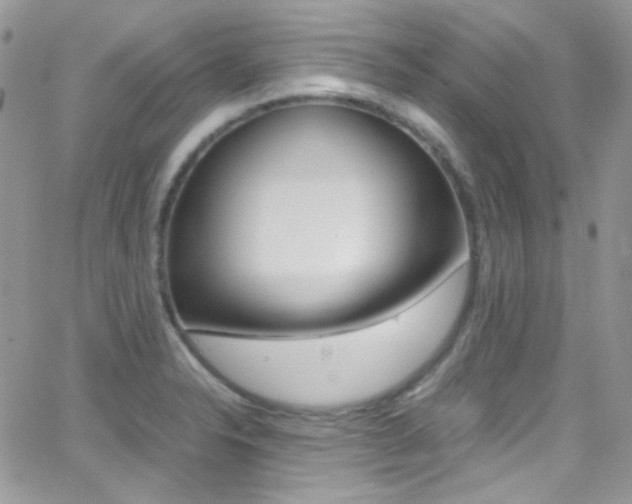 X0000067001326200603241035
