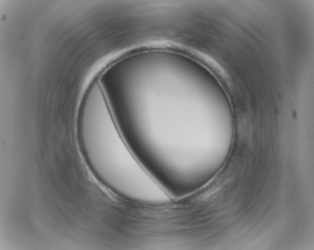 X0000067001327200603241035