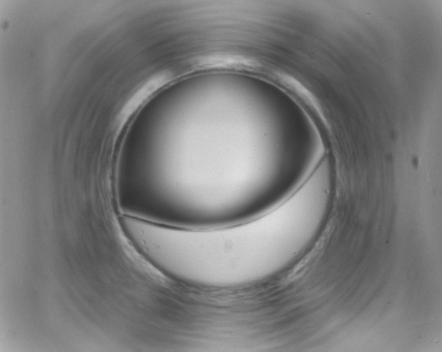 X0000067001330200603241036
