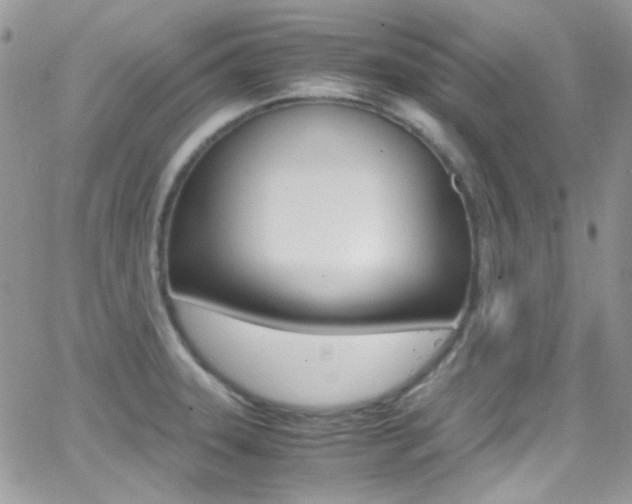 X0000067001331200603241036