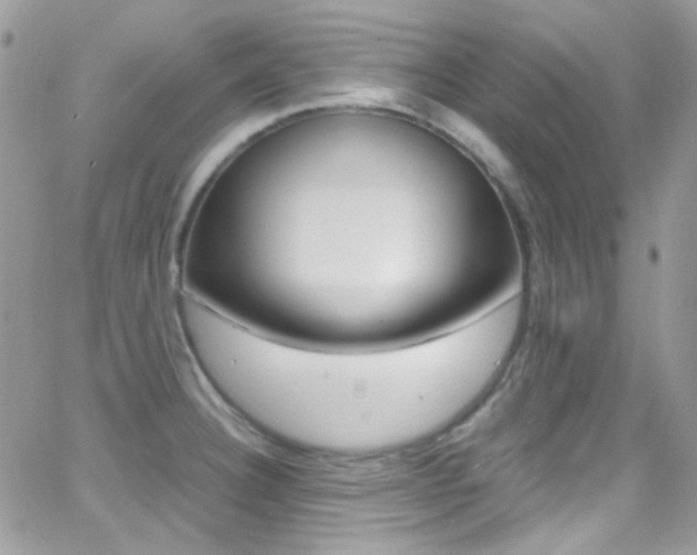 X0000067001332200603241036