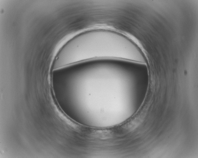 X0000067001335200603241036