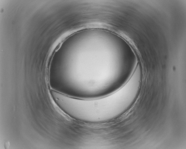 X0000067001342200603241036
