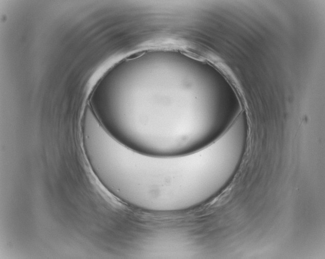 X0000067001344200603241036