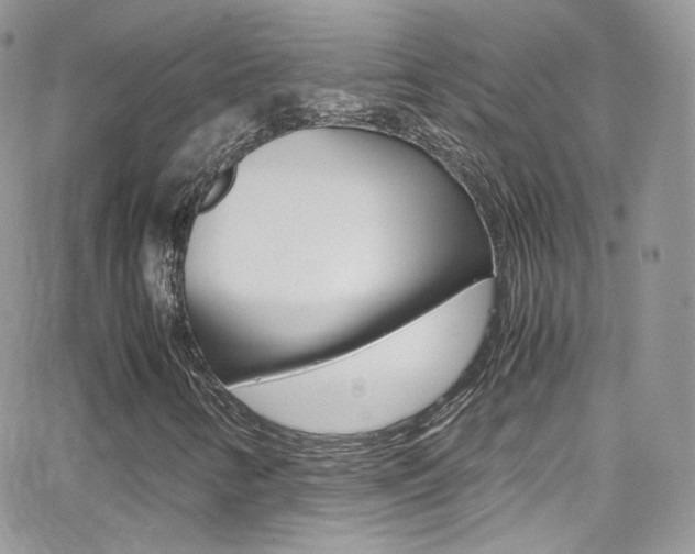 X0000067001346200603241035