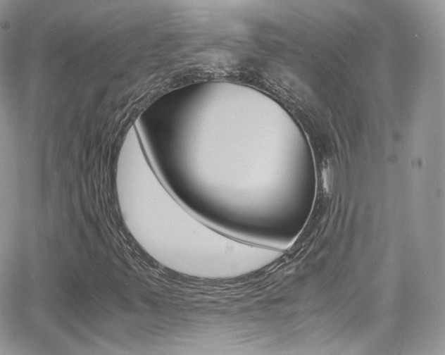 X0000067001347200603241035