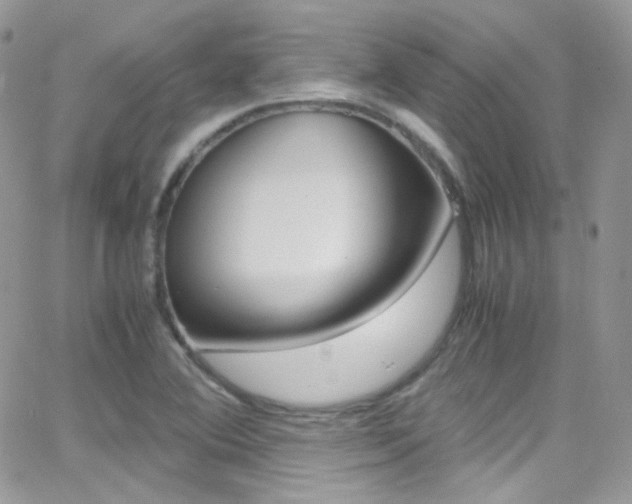 X0000067001364200603241035