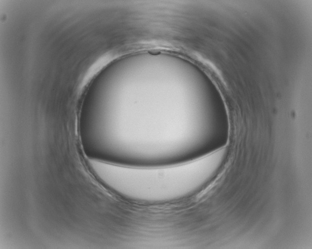X0000067001365200603241035
