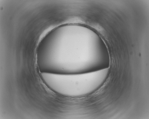 X0000067001366200603241035