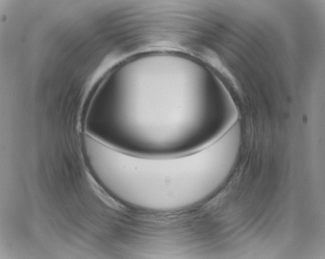 X0000067001372200603241035