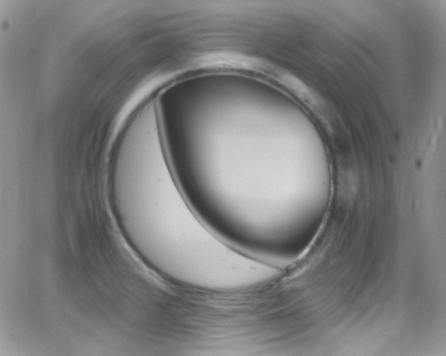 X0000067001376200603241034