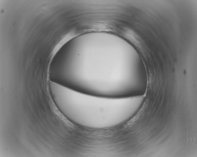 X0000067001378200603241034