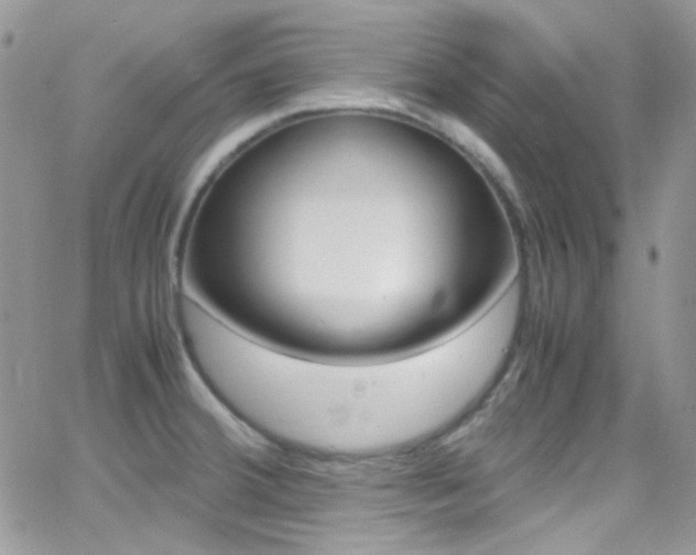 X0000067001380200603241034