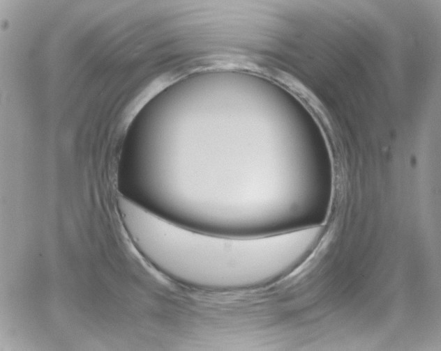 X0000067001385200603241034