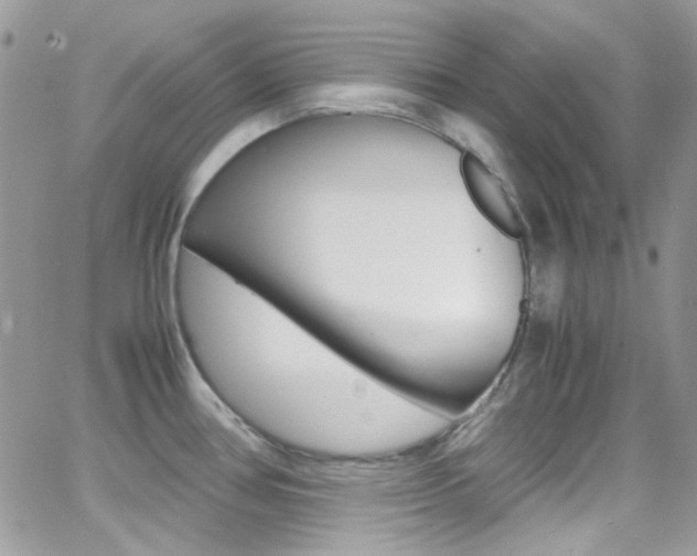 X0000067001386200603241034