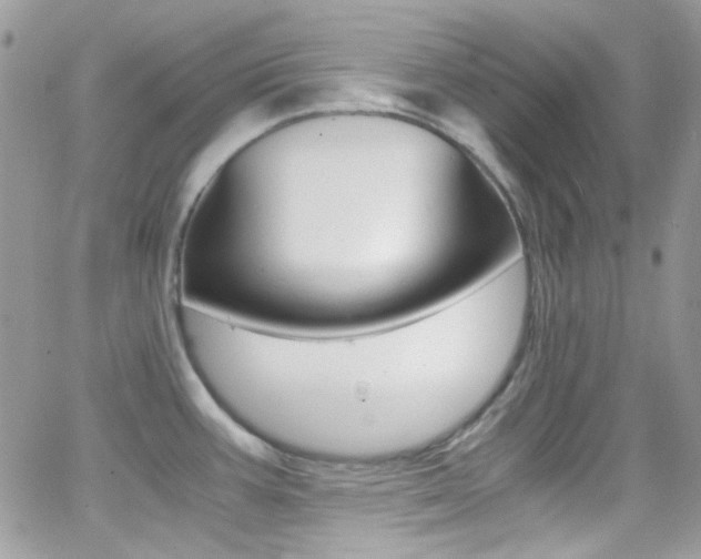 X0000067001387200603241034