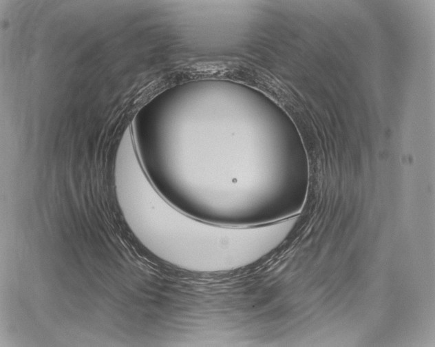 X0000067001394200603241033