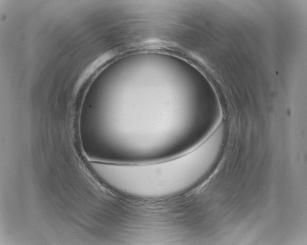 X0000067001410200603241034