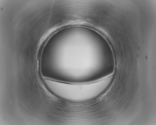X0000067001414200603241034