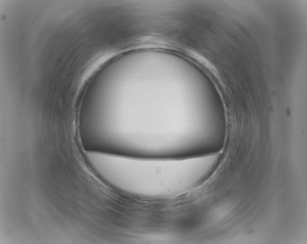 X0000067001415200603241034