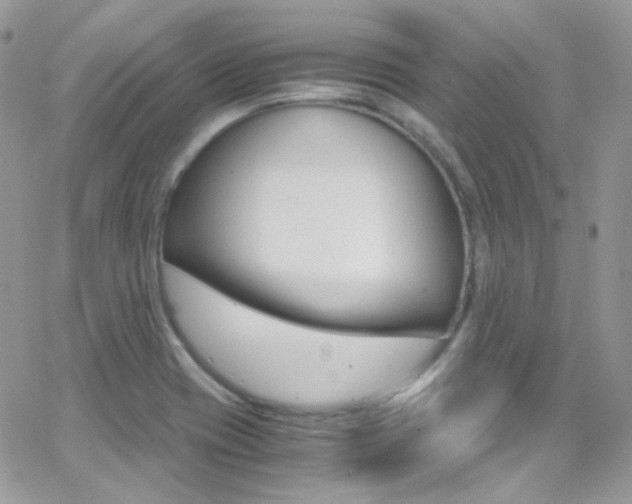 X0000067001417200603241034
