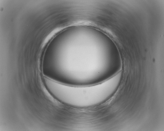 X0000067001422200603241034