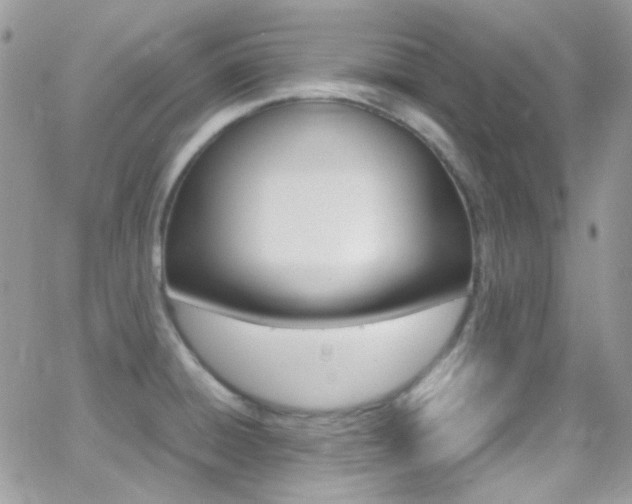 X0000067001428200603241034
