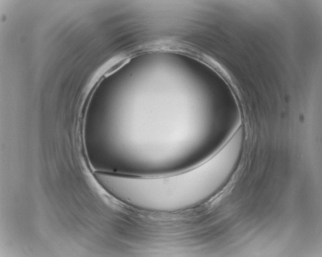 X0000067001434200603241034
