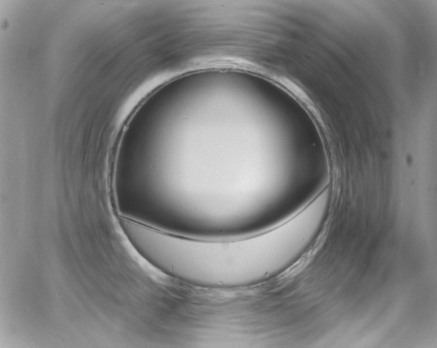 X0000067001438200603241034