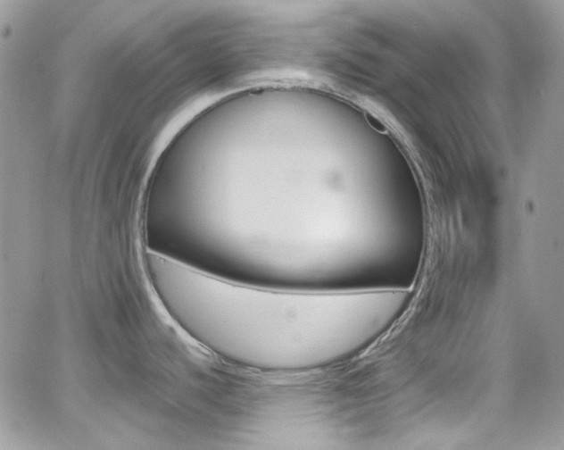 X0000067001440200603241034