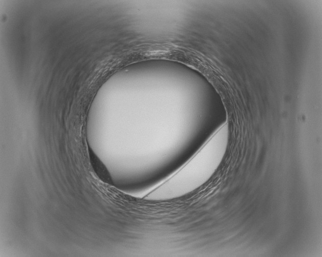 X0000067001441200603241033