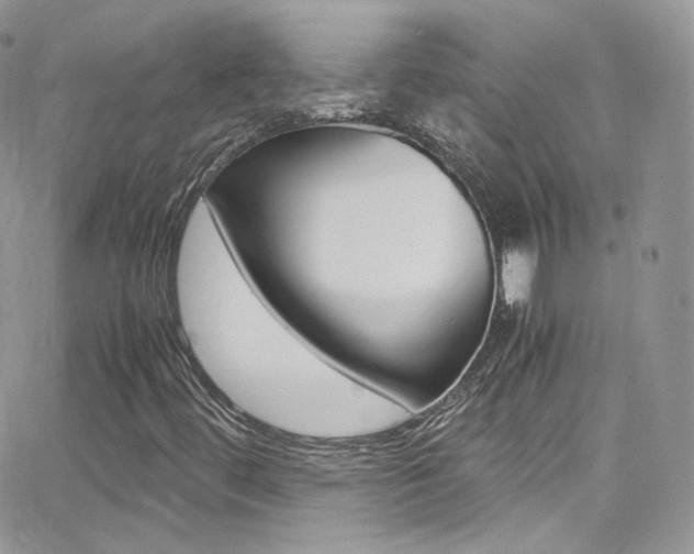 X0000067001444200603241033