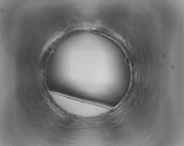 X0000067001448200603241033