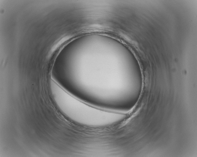 X0000067001453200603241033