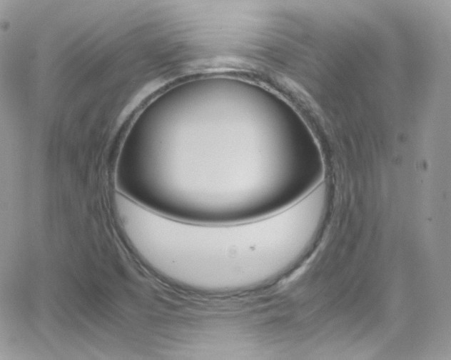 X0000067001457200603241033