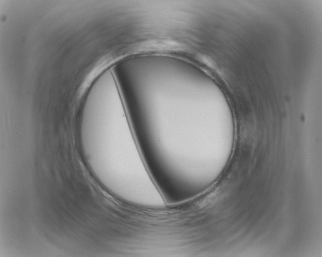 X0000067001459200603241033