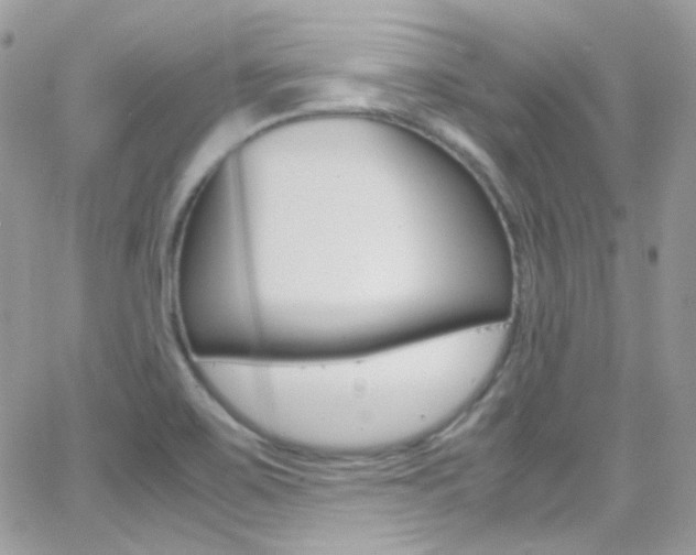 X0000067001467200603241033