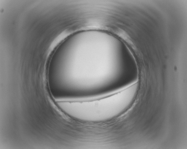 X0000067001469200603241033