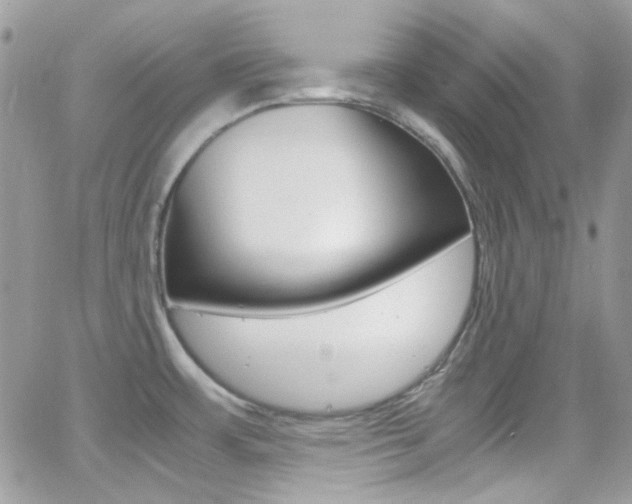 X0000067001483200603241033