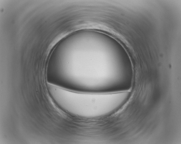 X0000067001513200603241032