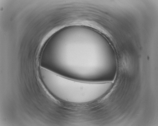 X0000067001517200603241032