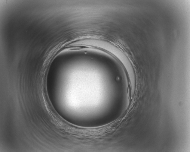 X0000067000001200603241354