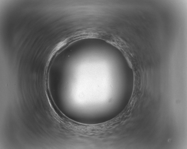 X0000067000003200603241354