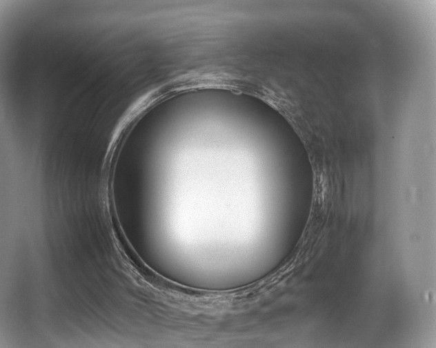 X0000067000004200603241354