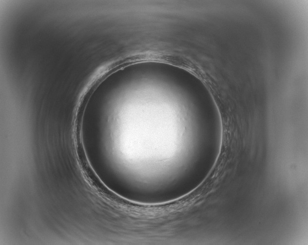X0000067000006200603241354