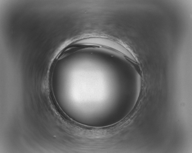 X0000067000008200603241354